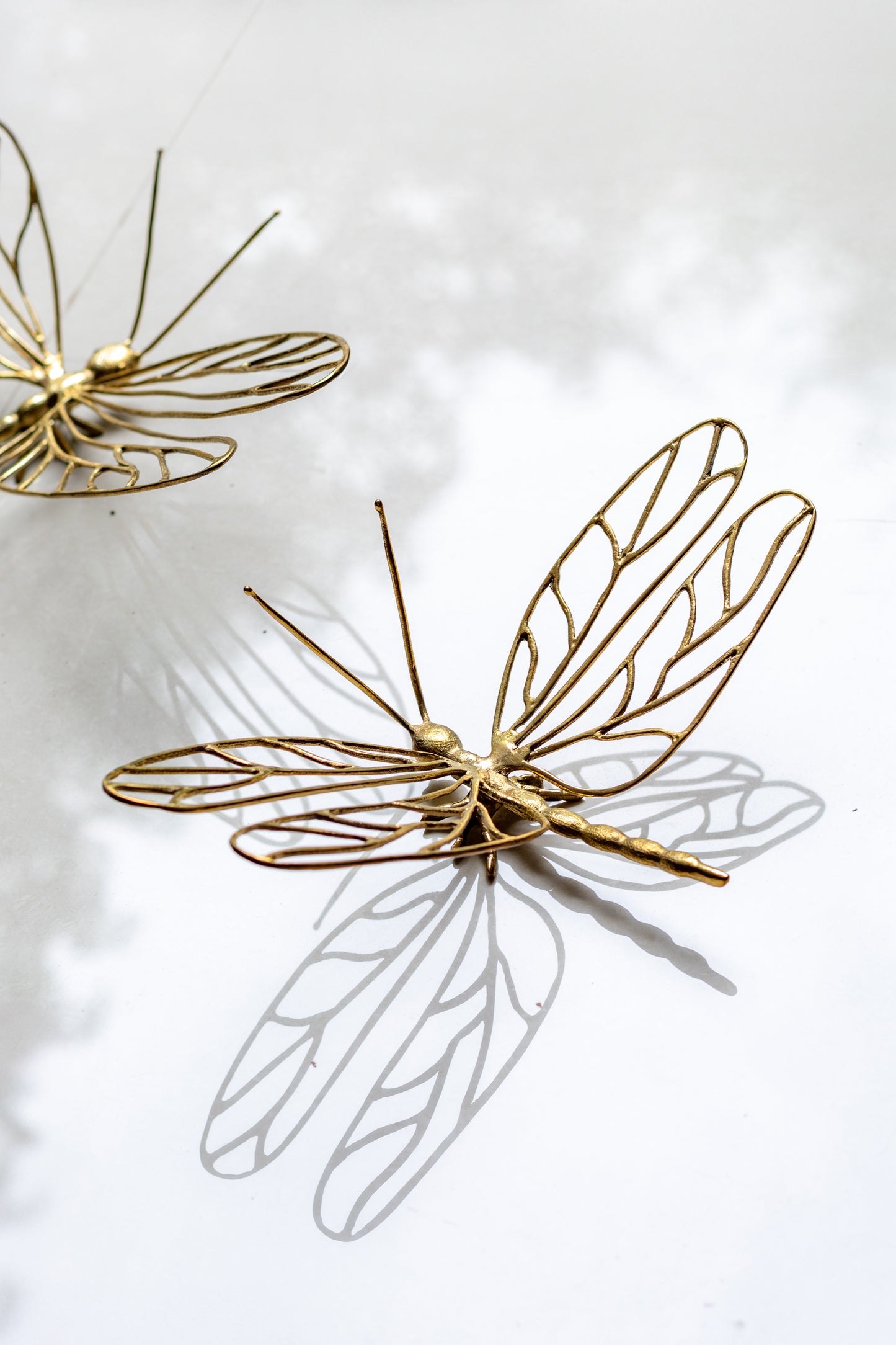 METAL DRAGONFLY S