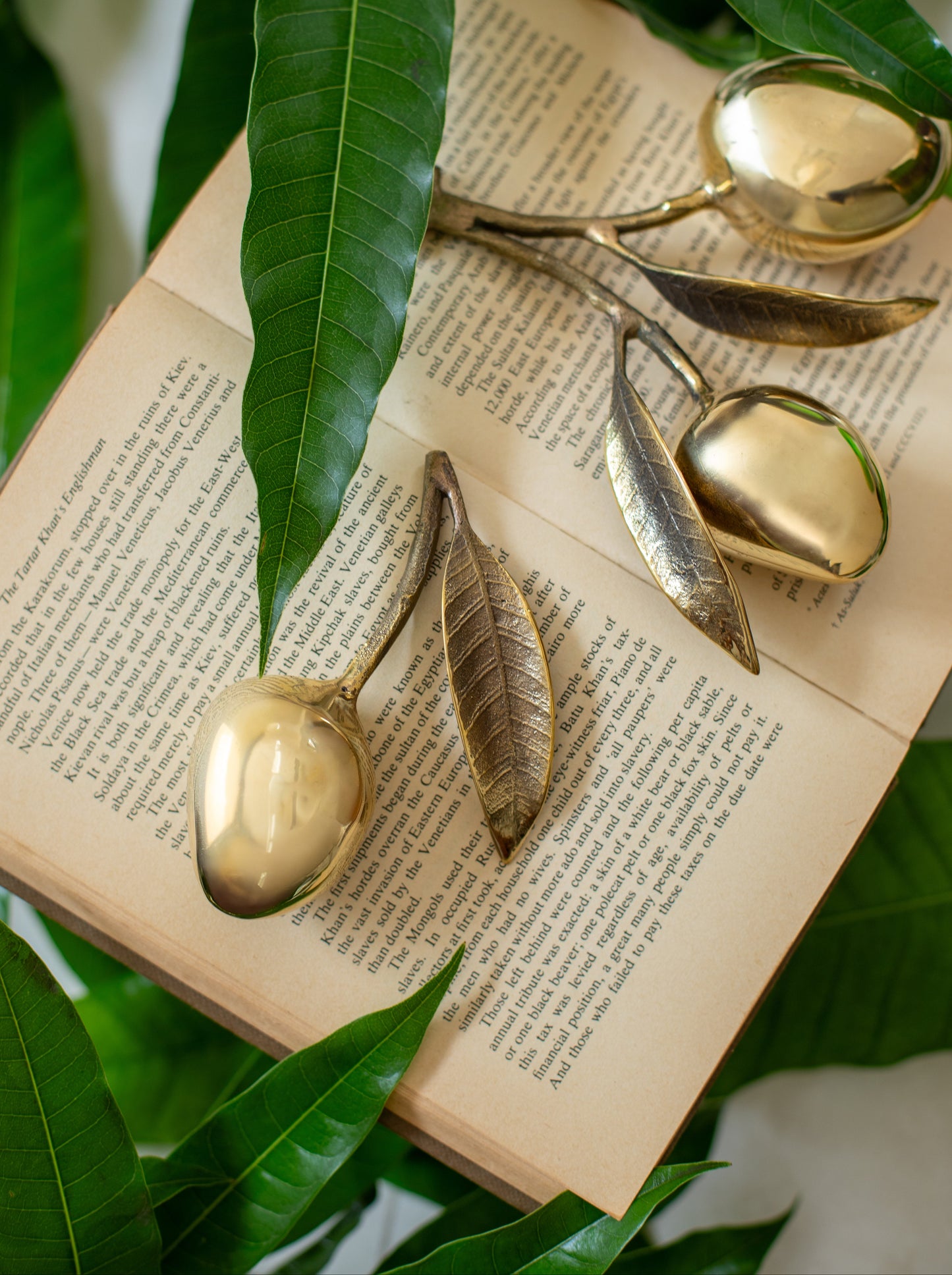 MANGO DECOR