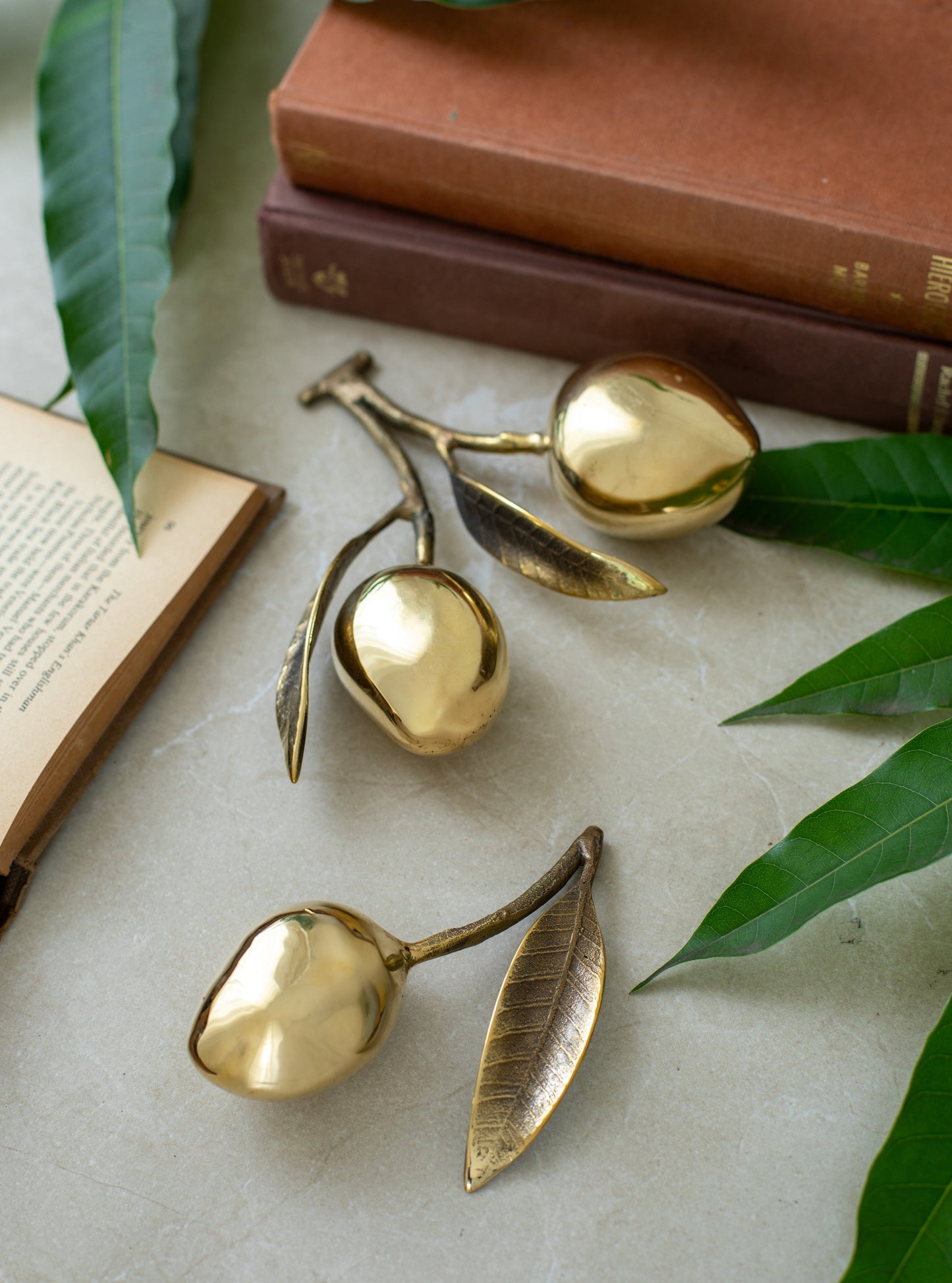 MANGO PAPER WEIGHT
