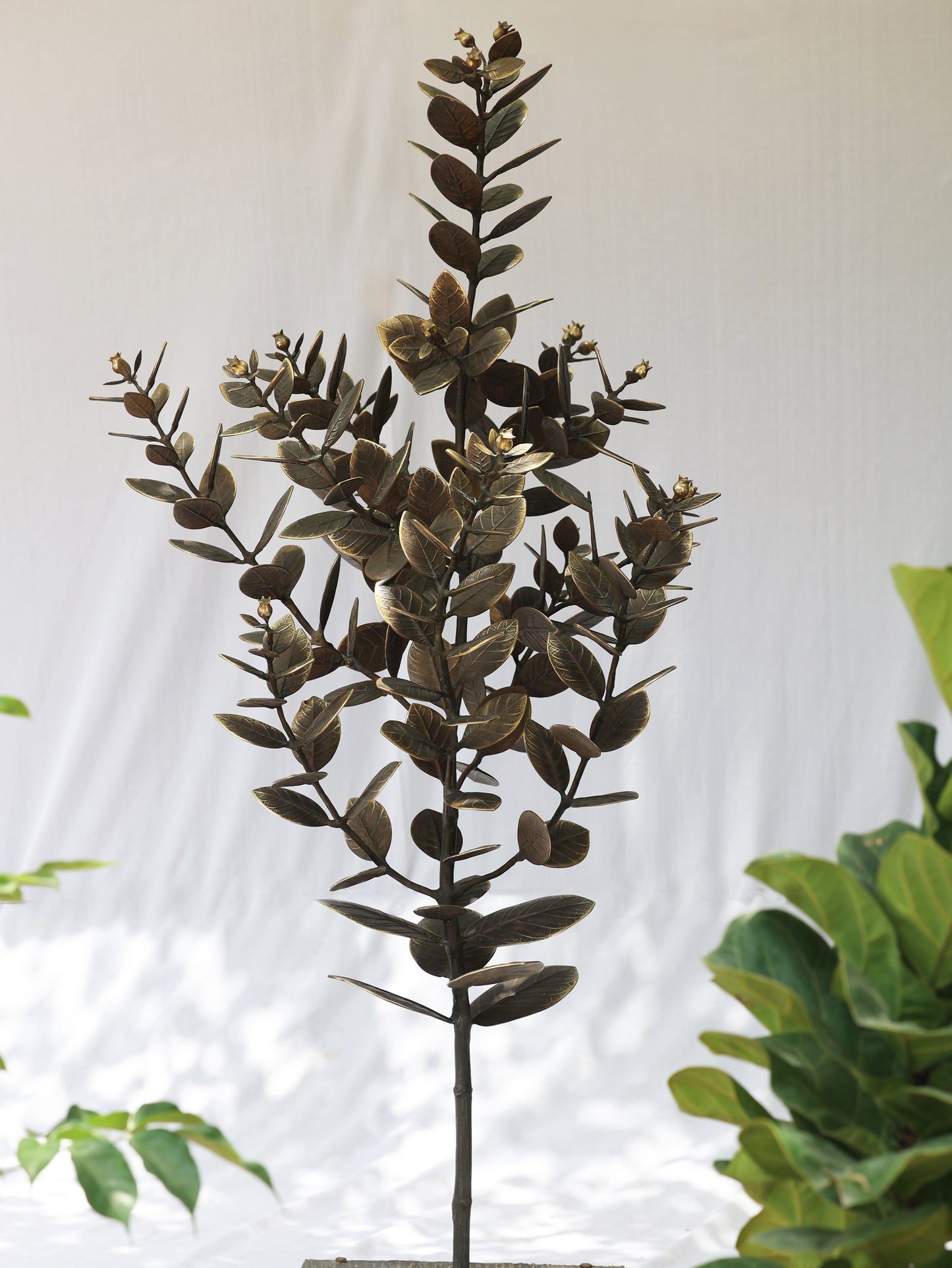 KATHAL TREE