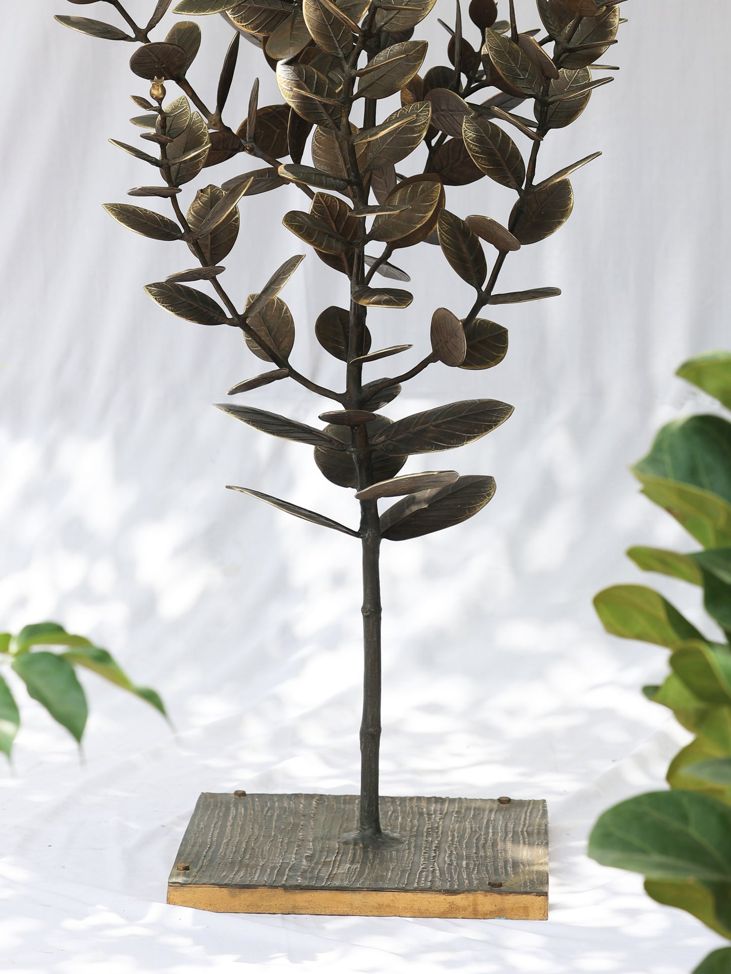 KATHAL TREE