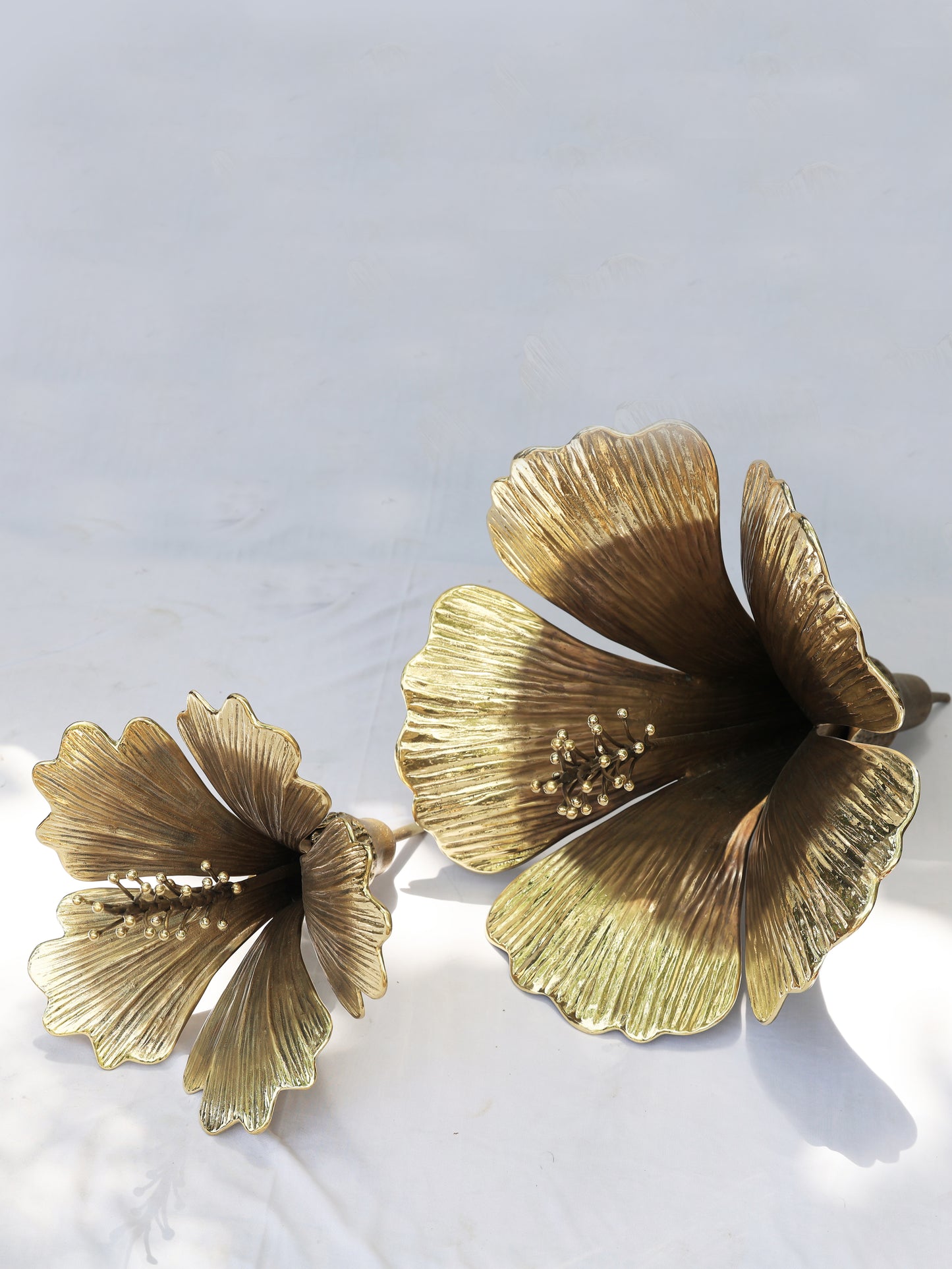 HIBISCUS FLOWER