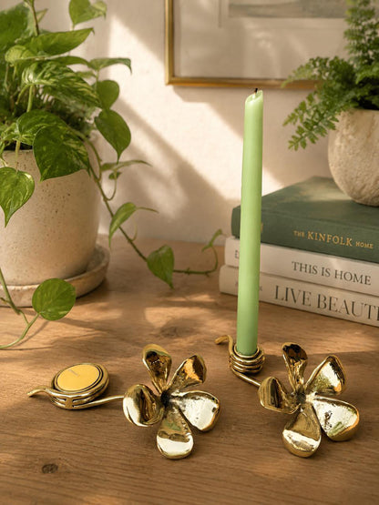 FRANGIPANI CANDLE LIGHT SET